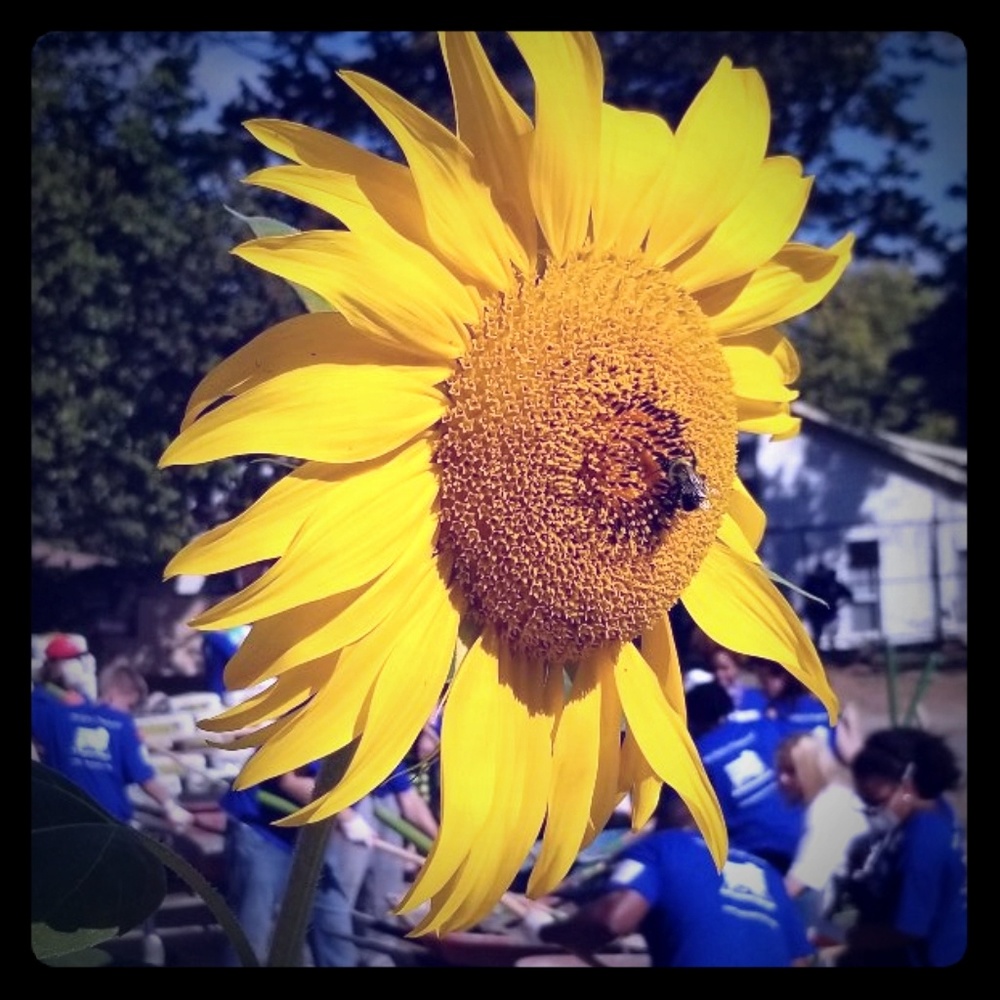 Meet your Posher, Staci